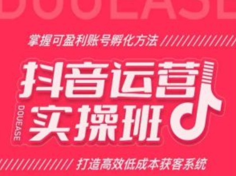 抖音运营实操班，掌握可盈利账号孵化方法，打造高效低成本获客系统-网创先锋