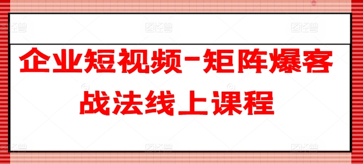 企业短视频-矩阵爆客战法线上课程-网创先锋