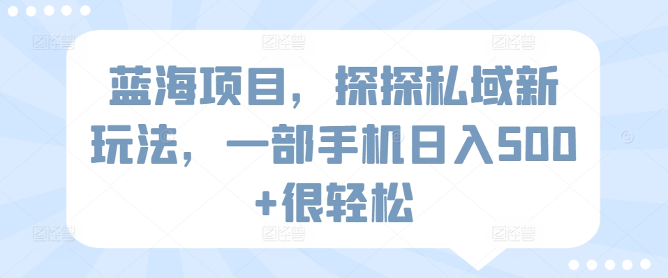 蓝海项目，探探私域新玩法，一部手机日入500+很轻松【揭秘】-网创先锋
