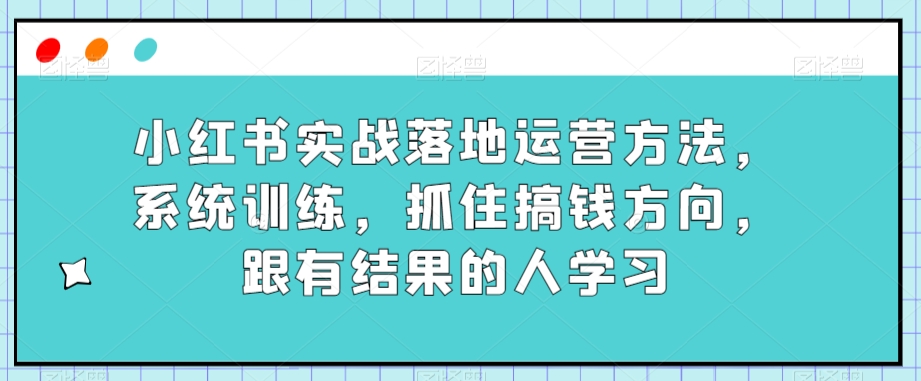 小红书实战落地运营方法，系统训练，抓住搞钱方向，跟有结果的人学习-网创先锋