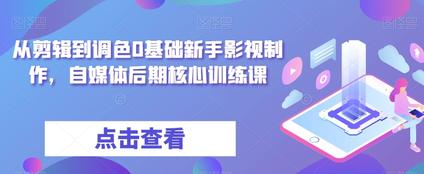 从剪辑到调色0基础新手影视制作，自媒体后期核心训练课-网创先锋