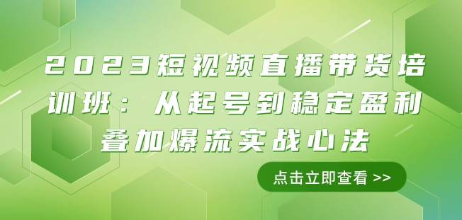 2023短视频直播带货培训班：从起号到稳定盈利叠加爆流实战心法（11节课）-网创先锋