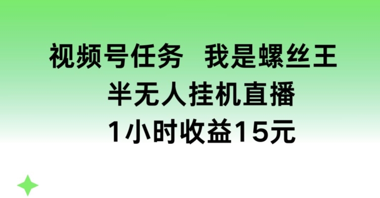 视频号任务，我是螺丝王， 半无人挂机1小时收益15元【揭秘】-网创先锋