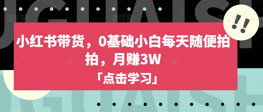 小红书带货，0基础小白每天随便拍拍，月赚3W【揭秘】-网创先锋