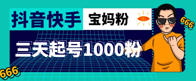 抖音快手三天起号涨粉1000宝妈粉丝的核心方法【详细玩法教程】-网创先锋