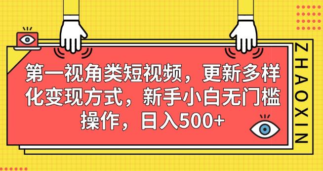 第一视角类短视频，更新多样化变现方式，新手小白无门槛操作，日入500+【揭秘】-网创先锋