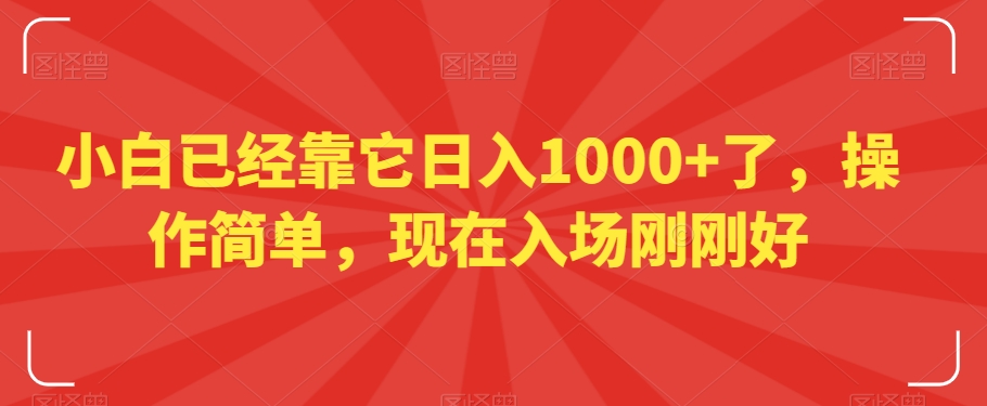 小白已经靠它日入1000+了，操作简单，现在入场刚刚好【揭秘】-网创先锋