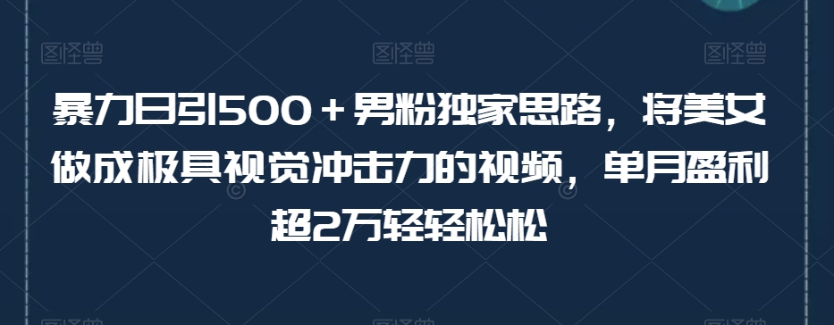 暴力日引500＋男粉独家思路，将美女做成极具视觉冲击力的视频，单月盈利超2万轻轻松松-网创先锋