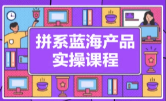 拼系冷门蓝海产品实操课程，从注册店铺到选品上架到流量维护环环相扣-网创先锋