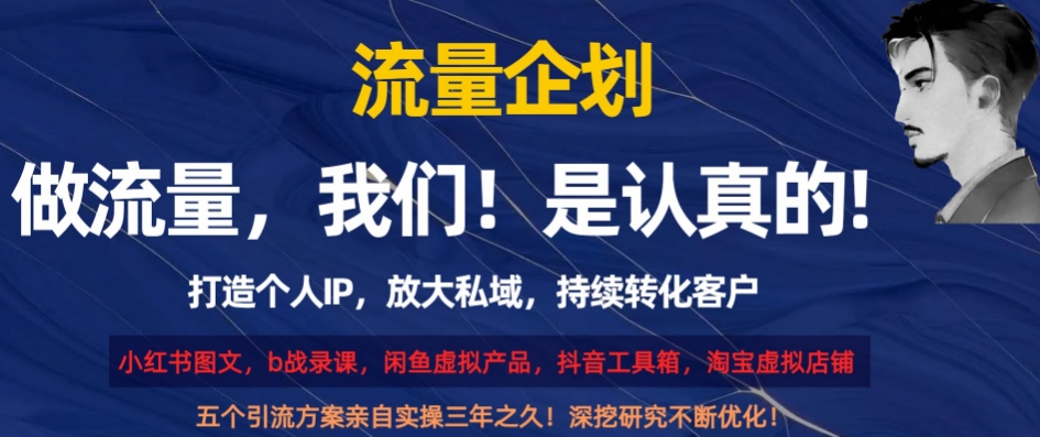 流量企划，打造个人IP，放大私域，持续转化客户【揭秘】-网创先锋