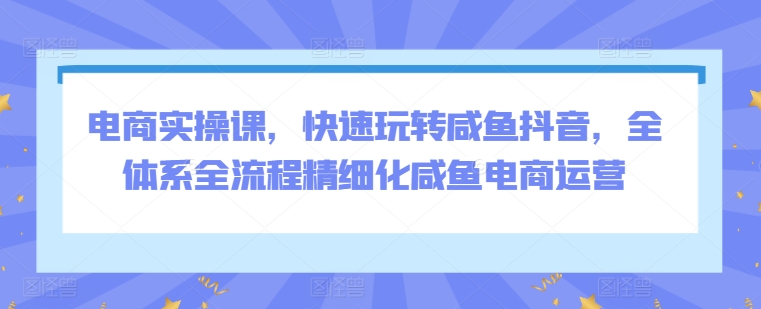 电商实操课，快速玩转咸鱼抖音，全体系全流程精细化咸鱼电商运营-网创先锋