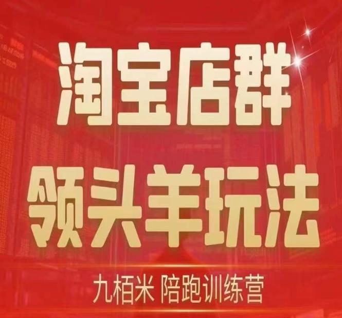 九栢米-淘宝店群领头羊玩法，教你整个淘宝店群领头羊玩法以及精细化/终极蓝海/尾销等内容-网创先锋