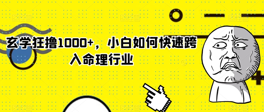 玄学狂撸1000+，小白如何快速跨入命理行业【揭秘】-网创先锋