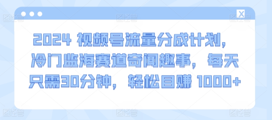 2024视频号流量分成计划，冷门监海赛道奇闻趣事，每天只需30分钟，轻松目赚 1000+【揭秘】-网创先锋