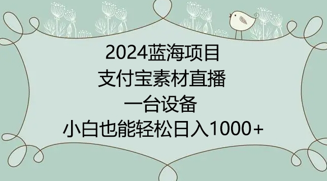 2024年蓝海项目，支付宝素材直播，无需出境，小白也能日入1000+ ，实操教程【揭秘】-网创先锋