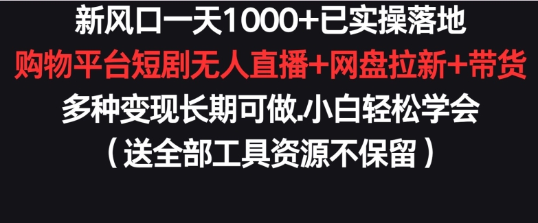 新风口一天1000+已实操落地购物平台短剧无人直播+网盘拉新+带货多种变现长期可做【揭秘】-网创先锋