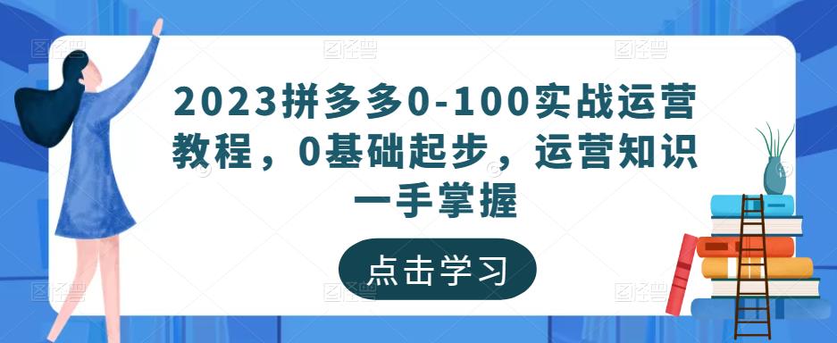 2023拼多多0-100实战运营教程，0基础起步，运营知识一手掌握-网创先锋