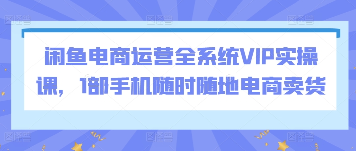 闲鱼电商运营全系统VIP实操课，1部手机随时随地电商卖货-网创先锋