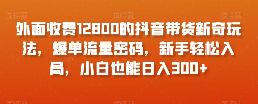 外面收费12800的抖音带货新奇玩法，爆单流量密码，新手轻松入局，小白也能日入300+【揭秘】-网创先锋