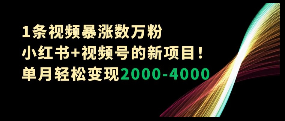 1条视频暴涨数万粉–小红书+视频号的新项目！单月轻松变现2000-4000【揭秘】-网创先锋