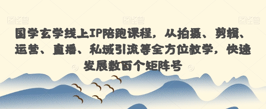 国学玄学线上IP陪跑课程，从拍摄、剪辑、运营、直播、私域引流等全方位教学，快速发展数百个矩阵号-网创先锋
