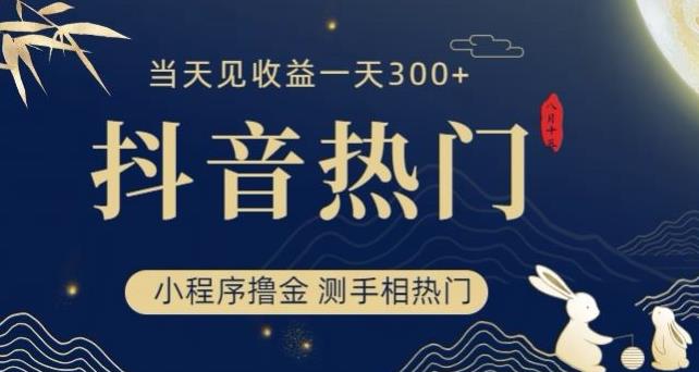 抖音最新小程序撸金，测手相上热门，当天见收益一小时变现300+【揭秘】-网创先锋