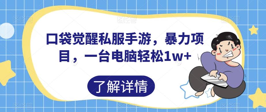 口袋觉醒私服手游，暴力项目，一台电脑轻松1w+【揭秘】-网创先锋