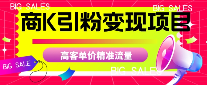 商K引粉变现项目，高客单价精准流量【揭秘】-网创先锋