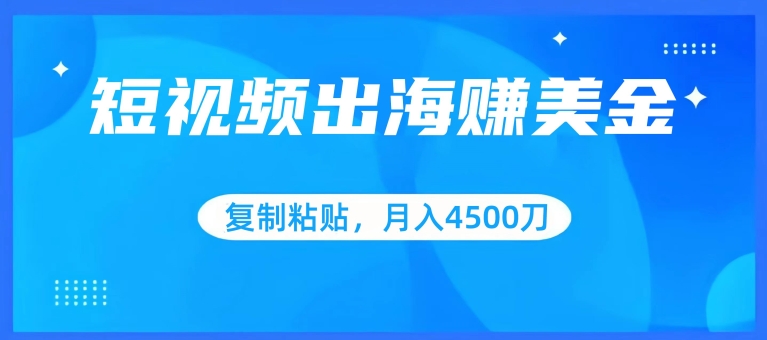 短视频出海赚美金，复制粘贴批量操作，小白轻松掌握，月入4500美刀【揭秘】-网创先锋
