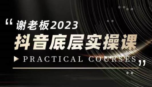 蟹老板·2023抖音底层实操课，打造短视频的底层认知-网创先锋