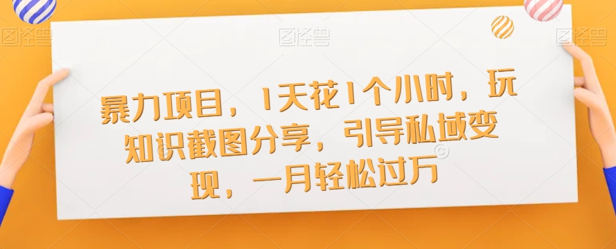 暴力项目，1天花1个小时，玩知识截图分享，引导私域变现，一月轻松过万【截图】-网创先锋