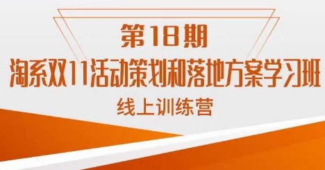 南掌柜·淘系双11活动策划和落地方案线上课18期-网创先锋
