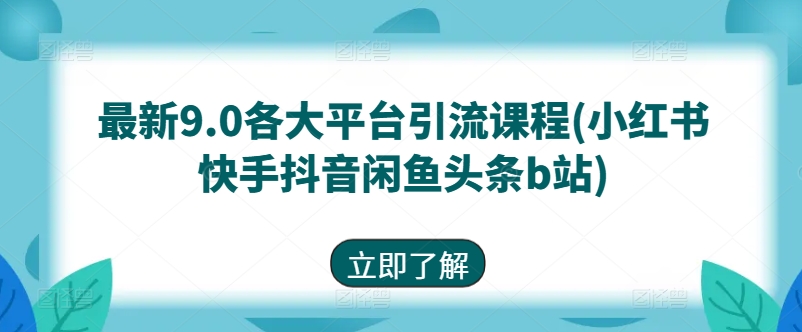 最新9.0各大平台引流课程(小红书快手抖音闲鱼头条b站)-网创先锋