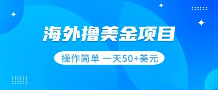 撸美金项目无门槛操作简单小白一天50+美刀-网创先锋