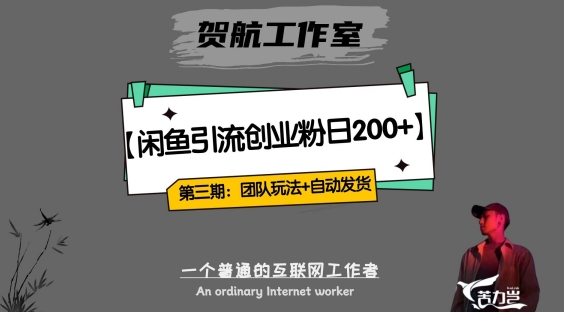第三期：暴力引流，无脑搬运，闲鱼创业粉引流一天200+，更新全自动发货的团队闭环模式【揭秘】-网创先锋
