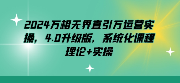2024万相无界直引万运营实操，4.0升级版，系统化课程 理论+实操-网创先锋