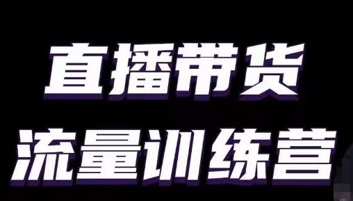直播带货流量训练营，小白主播必学直播课-网创先锋