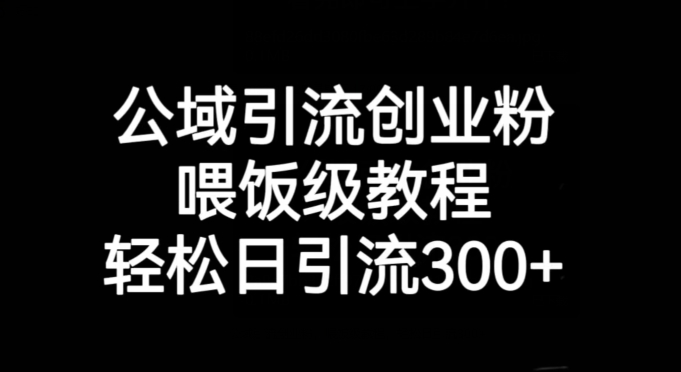 公域引流创业粉，喂饭级教程，轻松日引流300+【揭秘】-网创先锋