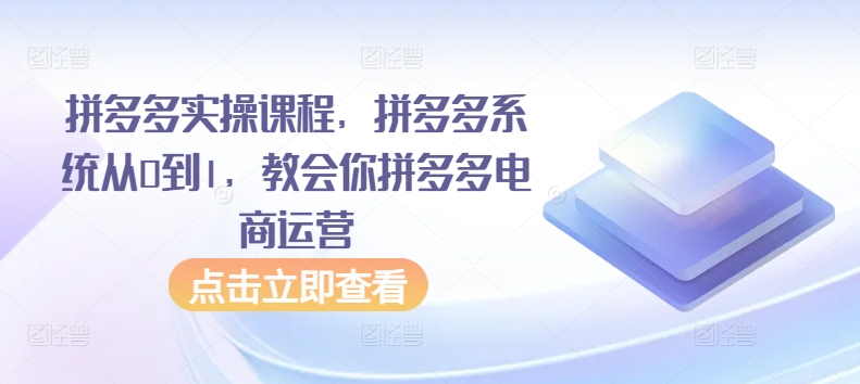 拼多多实操课程，拼多多系统从0到1，教会你拼多多电商运营-网创先锋