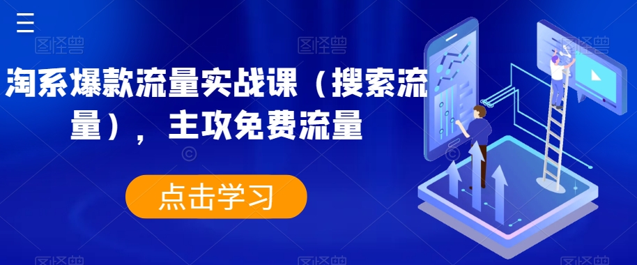淘系爆款流量实战课（搜索流量），主攻免费流量-网创先锋