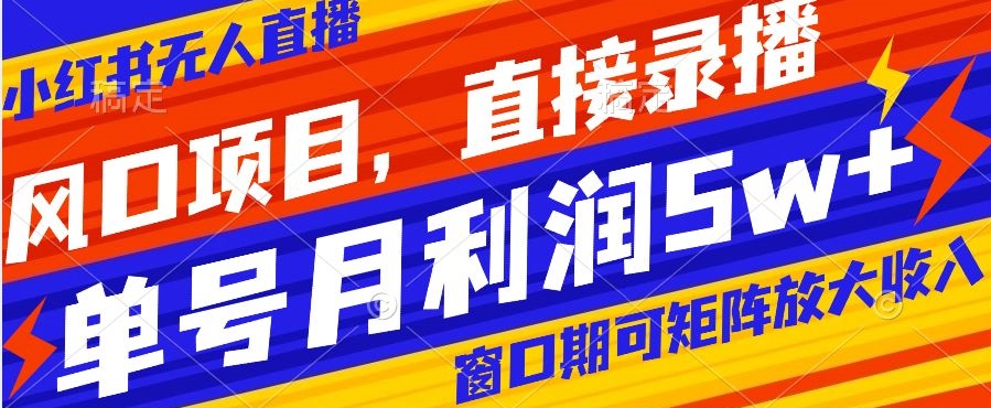 风口项目，小红书无人直播带货，直接录播，可矩阵，月入5w+【揭秘】-网创先锋