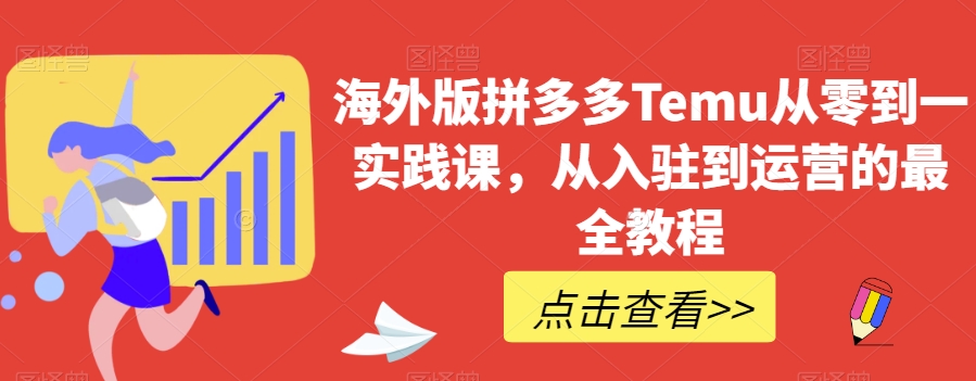 海外版拼多多Temu从零到一实践课，从入驻到运营的最全教程-网创先锋