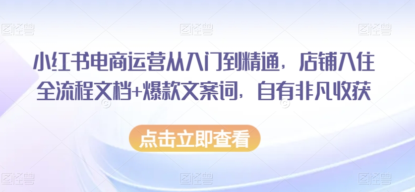 小红书电商运营从入门到精通，店铺入住全流程文档+爆款文案词，自有非凡收获-网创先锋