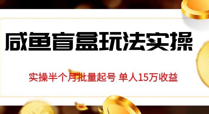 独家首发咸鱼盲盒玩法实操，半个月批量起号单人15万收益【揭秘】-网创先锋