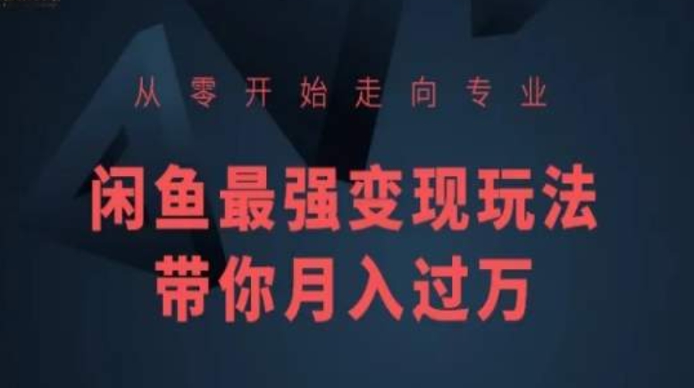 从零开始走向专业，闲鱼最强变现玩法带你月入过万-网创先锋