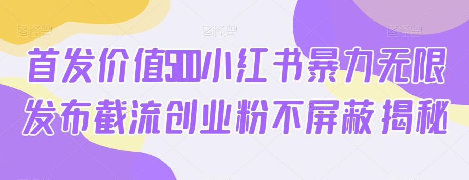 首发价值5100小红书暴力无限发布截流创业粉不屏蔽揭秘-网创先锋