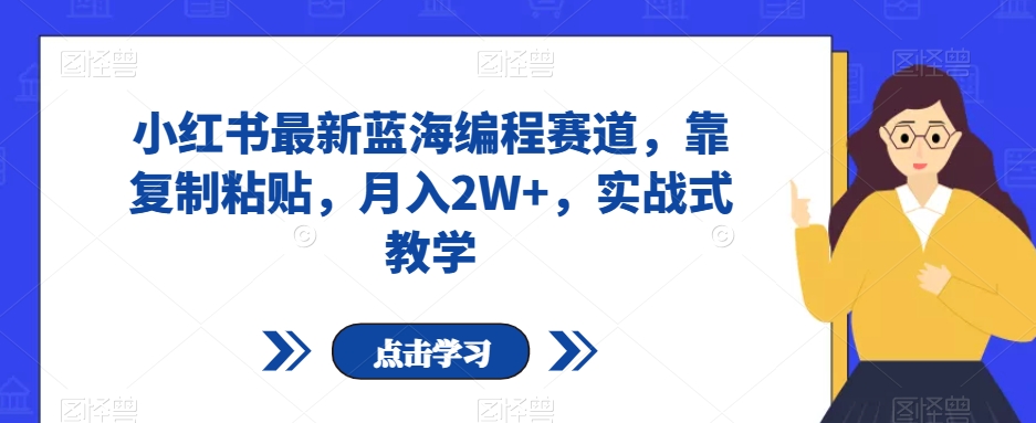 小红书最新蓝海编程赛道，靠复制粘贴，月入2W+，实战式教学【揭秘】-网创先锋