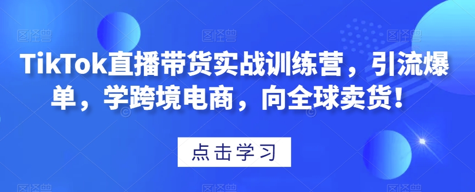 TikTok直播带货实战训练营，引流爆单，学跨境电商，向全球卖货！-网创先锋