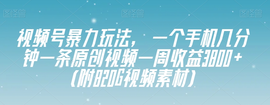 视频号暴力玩法，一个手机几分钟一条原创视频一周收益3800+（附820G视频素材）-网创先锋