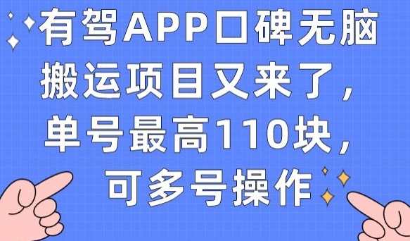有驾APP口碑无脑搬运项目又来了，单号最高110块，可多号操作-网创先锋